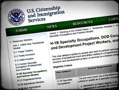 There is a broad range of eligible professionals who make up the H-1B visa population.